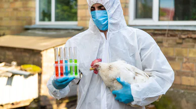 Yeni salgın endişesi sağlık otoritelerini alarma geçirdi