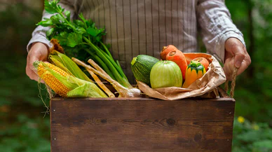 Mevsim sebzeleriyle sağlıklı sofralar kurmak