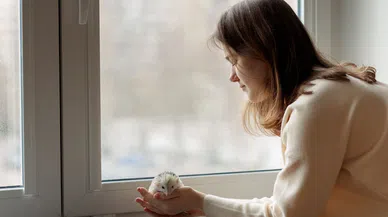 Kısa süreli izolasyon beyni nasıl etkiliyor