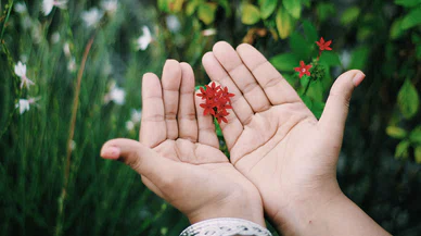 Küçük Mutluluklar Zihnin Gizli İlacıdır