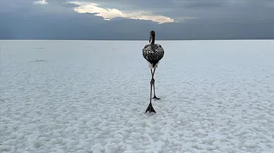 Tuz Gölü, yüzeyden göz alıcı bir ışık yansıtır