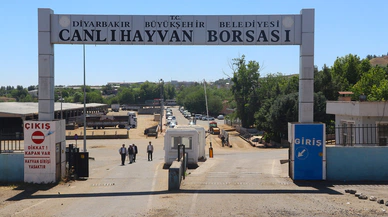 Diyarbakır’da kurban pazarlarında sahte para uyarısı