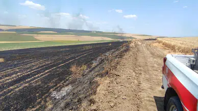 Çorlu’da çıkan yangın buğday tarlasını küle çevirdi