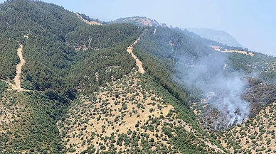 Alaşehir’de orman yangını havadan ve karadan söndürülüyor