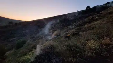 Bingöl’de ormanlık alanda çıkan yangın durduruldu