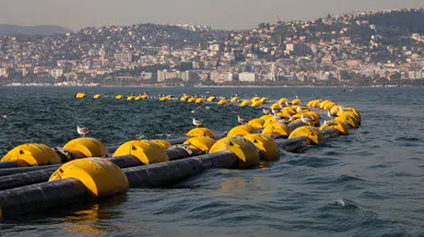 İzmit Körfezi’nde oksijen ve canlı sayısı hızla arttı