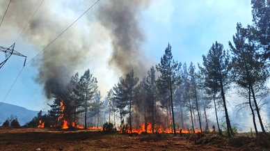 Karabük’te orman yangını kısmen kontrol altına alındı