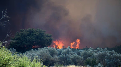 Bornova Yakaköy’de çıkan yangın ormana sıçradı