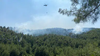 Osmaniye Kadirli’de orman yangınına müdahale sürüyor