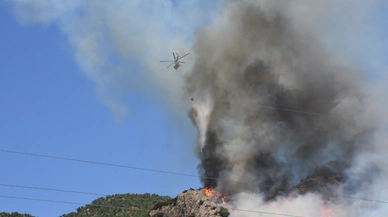Bodrum’da orman yangınına müdahale sürüyor
