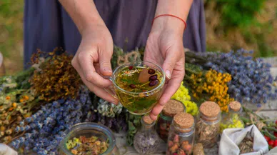 Astroloji ve şifalı bitkiler doğum haritası