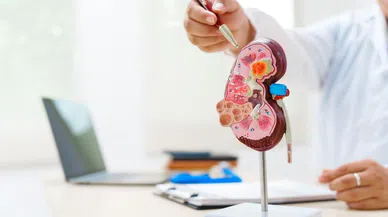 Yapay organlar, organ naklinde yeni dönem