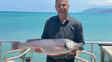 Sinop’ta 6,5 kiloluk beyaz kötek balığı yakalandı