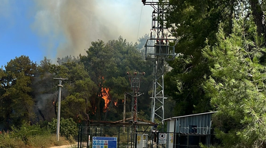 Antalya Manavgat’ta ormanlık alanda yangın
