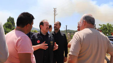 İzmir ve Bilecik’te yangın bölgeleri afet bölgesi ilan edildi