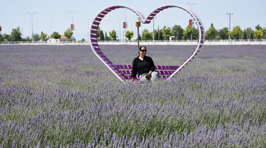 Karatay Lavanta Günleri 4 Temmuz’da başlıyor