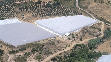 Aksu’da makilik yangınına müdahale ediliyor