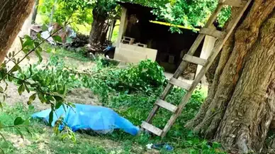 Bursa'da Ceviz Toplama Sırasında Trajik Kaza