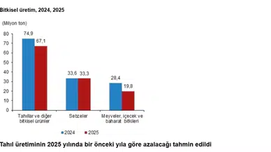 TÜİK'ten 2025 Bitkisel Üretim Tahminleri: Azalma Bekleniyor