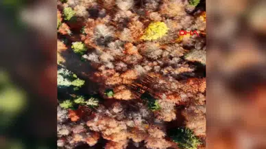 Amanos Dağları’nda Sonbahar Manzarası