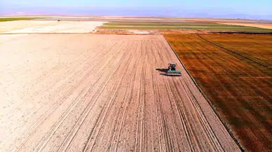 Konya Ovası'nda Yağmur Beklentisi Çiftçileri Rahatlattı