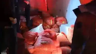 Samsun'da Kaçak Midye Operasyonu: 2,6 Ton Ele Geçirildi