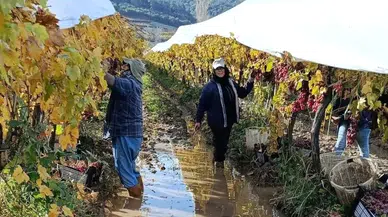 İşçiler Yağmur ve Çamura Rağmen Üretime Devam Ediyor