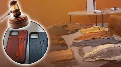 Balon Balığından Elde Edilen Aksesuar Projesi Mahkemeye Taşındı