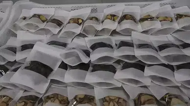 Tokat'ta Yeni Tarım Tesisinin Açılışı Gerçekleşti