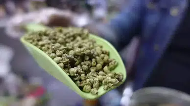 Dünya Bu Mucize Bitkiyi Türkiye'den Alıyor: 62 Milyon Dolarlık Rekor İhracat