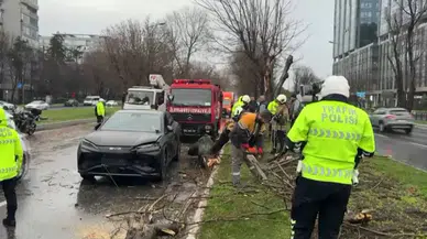 Fırtına Ağaç Dalını Sökerek Zincirleme Kazaya Neden Oldu