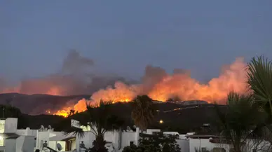 Muğla’nın Milas ilçesinde orman yangını