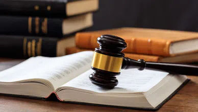 Medeni hukuk, bireylerin haklarını güvence altına alıyor