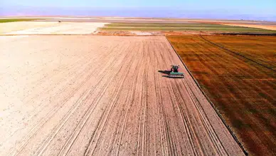 Konya Ovası'nda Yağmur Beklentisi Çiftçileri Rahatlattı