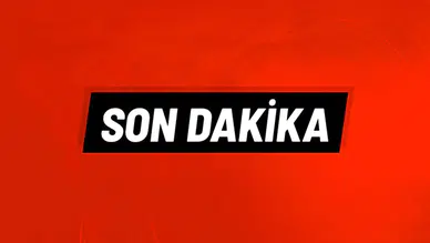 DEM Parti'li Doğan: Meclis Artık Barış Mesaisi Yapmalı
