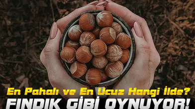 Fındık Piyasasında Son Durum: Fiyatlar Yükselecek mi, Düşecek mi?