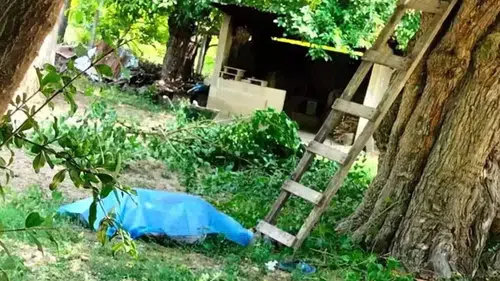 Bursa'da Ceviz Toplama Sırasında Trajik Kaza