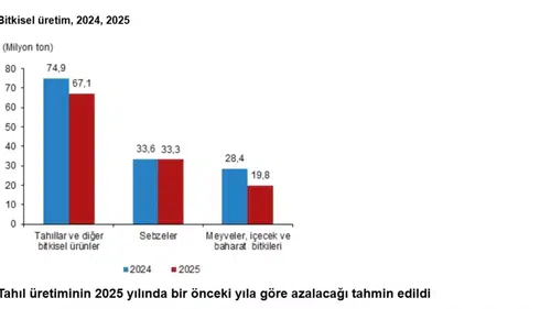 TÜİK'ten 2025 Bitkisel Üretim Tahminleri: Azalma Bekleniyor