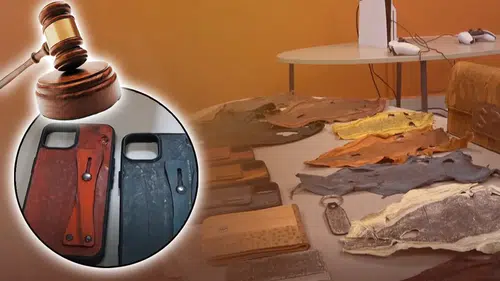 Balon Balığından Elde Edilen Aksesuar Projesi Mahkemeye Taşındı