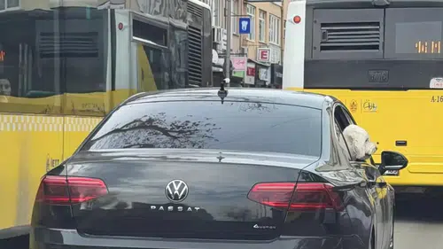 Üsküdar'da Yeni Başkanın Eski Başkanın Makam Aracını Köpeğine Tahsis Ettiği İddiası