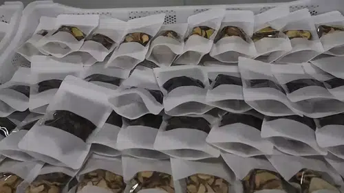 Tokat'ta Yeni Tarım Tesisinin Açılışı Gerçekleşti