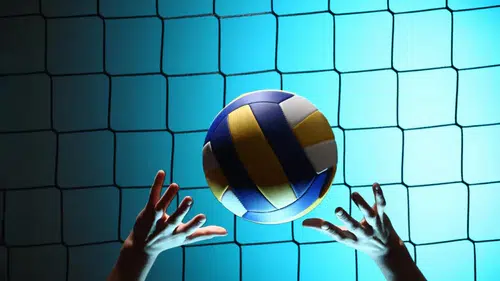 Fenerbahçe, İtalya Serie A Voleybol Kulübüne Ortak Oldu
