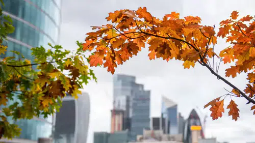 Sonbahar ekinoksu yaklaşıyor! Gece ve gündüz eşitlenecek tarih açıklandı