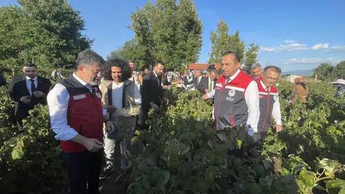 Tarım ve Orman Bakanı Yumaklı, 274,8 Milyon TL Destek Ödemesi Yapılacağını Duyurdu