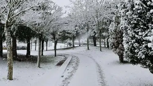 Kocaeli'de 12 Ocak'ta Okullar Tatil Mi? Üniversitelere Kar Tatili Olacak Mı?