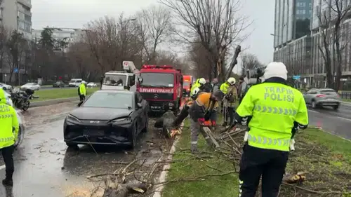 Fırtına Ağaç Dalını Sökerek Zincirleme Kazaya Neden Oldu