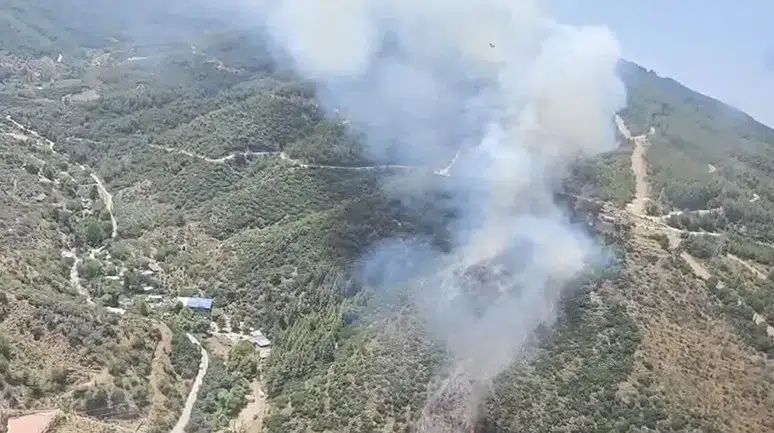Narlıdere’deki orman yangını kontrol altına alındı