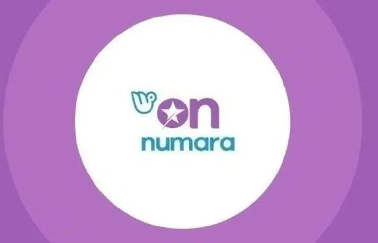 24 Kasım On Numara Sonuçları Açıklandı: İşte Kazananlar Numaralar