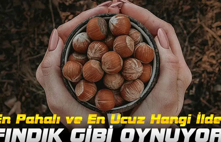 Fındık Piyasasında Son Durum: Fiyatlar Yükselecek mi, Düşecek mi?