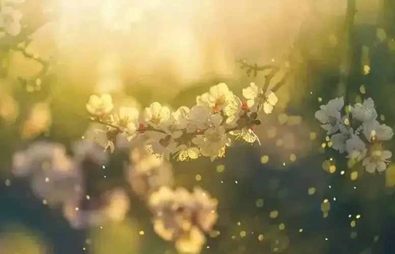 2026 Cemre Düşme Tarihleri: Baharın Gelişi